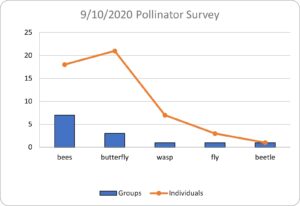 Pollinator Graph