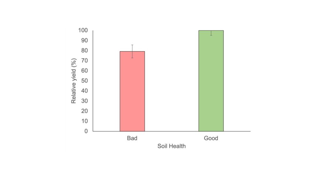 Project SARE- Final Report