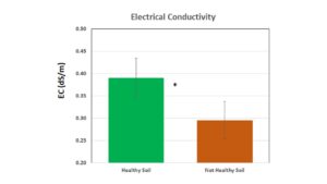 Complex image: Description containing structured information