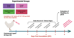 Experimental Design of the Safety Trial conducted