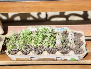 Science Fair MM After April 2025