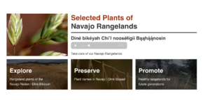 Image of grass seedhead with Navajo text and audio (English translation: Take care of our Navajo Rangelands) and three shadowed images of Navajo rangelands