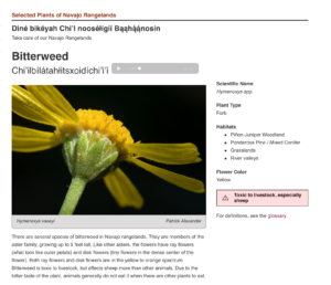 Close-up of yellow flower on a green stem, sound icon indicating Navajo audio will play, and text description