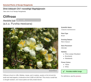 White flower with yellow center on green shrub, sound icon indicating Navajo audio will play, and text description