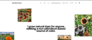 A screenshot of a webpage