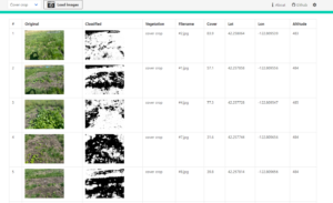 images of weed termination and percentage of soil coverage