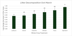 Graph showing rate of decomposition for different cool season crops