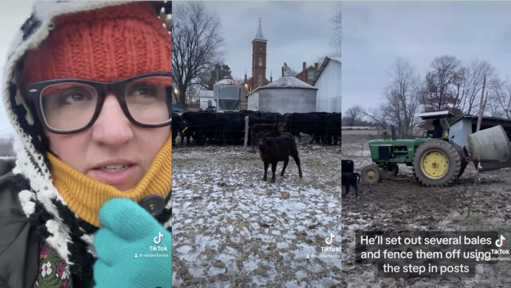 Social media posts showing the farm in the winter