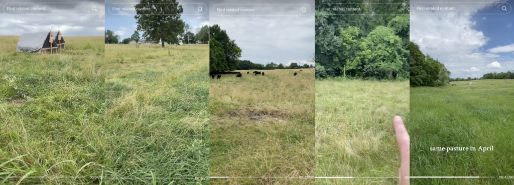 Screenshots from a social media video showing Pastured Poultry Grazing Effects