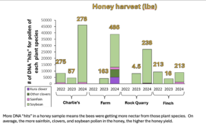 Bar chart showing that hives at trial sites with sanfoil and siliflower produced more honey.
