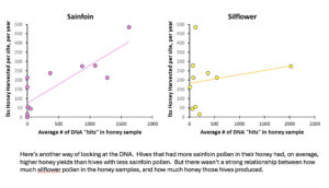 Scatterplot charts showing that hives at trial sites with sanfoil and siliflower produced more honey.