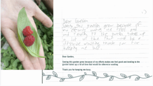 Letter to the garden #2 from youth in YENC24-216