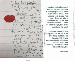 Letter to the garden from a youth participant in YENC24-216