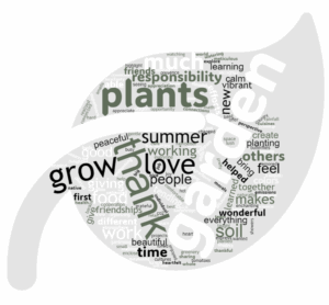 Word cloud from students about the gardens in YENC24-216