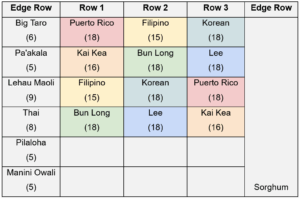2023 Field Layout