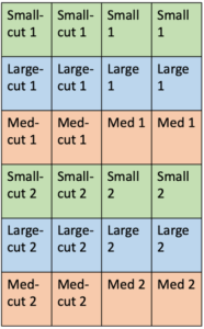 Table 1. Block experimental design and spacing. 