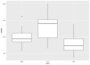 Corm Yield - Planting Size