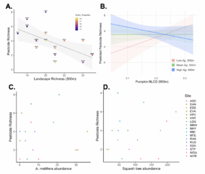 figure 1: showing the relationship between the number of landcover categories and the number of pesticides detected in the soil, and the interaction between surrounding agriculture and surrounding pumpkin, and the lack of relationship between bee abundance and the pesticides detected in the soil