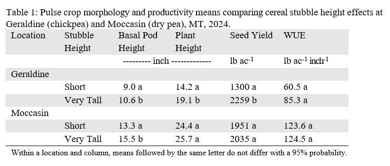 Pulse crop morphology and productivity means comparing cereal stubble height effects at Geraldine (chickpea) and Moccasin (dry pea), MT, 2024.