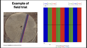 Aerial image showing how test plots were laid out.