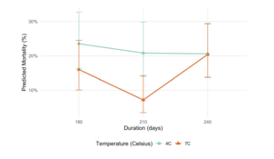 plot displays two temperature treatments across different emergence dates. The Y axis displays % mortality.
