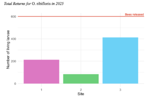 O ribifloris return numbers per site. The total number of bees released is shown as a red line on the plot. Bars above the line would represent positive returns.