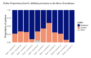 Relative collection of berry crop pollens from the 2025 screenhouse trial in Logan, Utah. Each bar is a single provision, with a nest ID and letter code indicating its origin from within its nest (Ex. Nest 1: A = first cell, G = last). Navy blue represents blueberry pollen collection, salmon represents currant pollen, and grey represents pollen from weedy, non-crop plants present within the screenhouse during the foraging period.