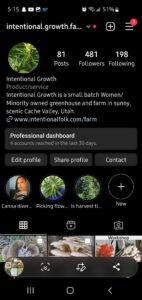 insta Int Growth 
