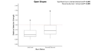Cattle selection of burned and unburned open slopes, relative to lowlands.