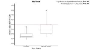 Cattle selection of burned and unburned upland areas, relative to lowlands.