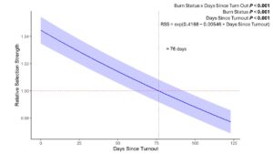 Cattle relative selection strength of burned patches within individual growing seasons. At 76 days post-turnout, there was a transition from preference to avoidance of burned patches.