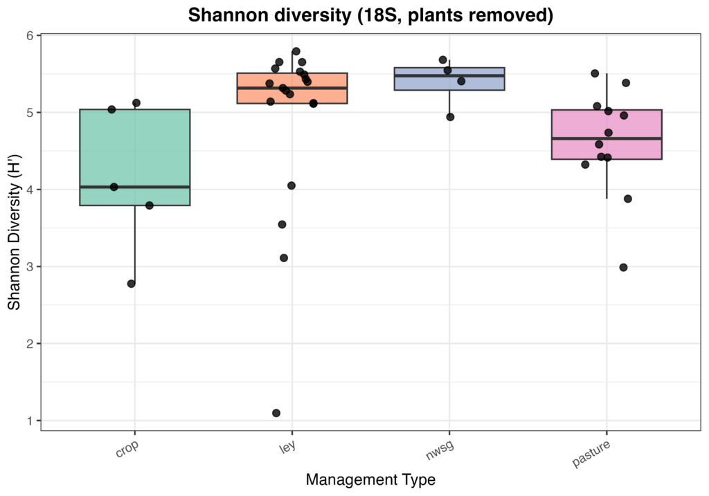 Shannon diversity (18S, plants removed) of soil eukaryotic communities across management types.