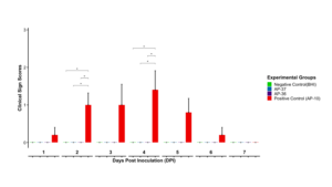 Clinical sign scores over 7 days post inoculation showing transient disease in the AP10 positive control group and no clinical signs in vaccine or negative control groups.