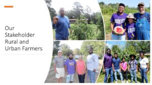 Our stakeholders