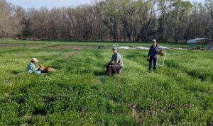 Researchers in the middle of data collection sit and work in a field.