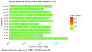 SNP density analysis