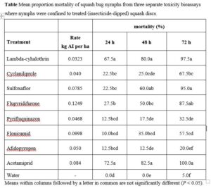 Squash bug insecticide bioassay