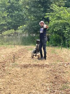 Ethnic crop garden set up