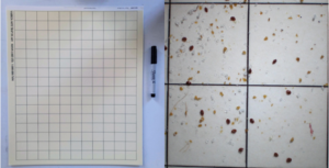 Sticky board