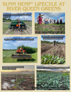 Handout at conference session on cover crops