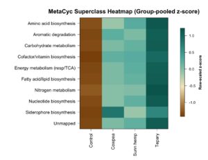 Heatmap