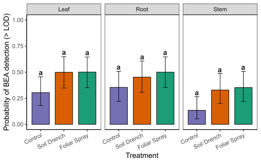 Bar graph showing a non significant effect of treatment and tissue on detecting the mycotoxin beauvericin (BEA) above the limit of detection (LOD = 1.95 ug/g)