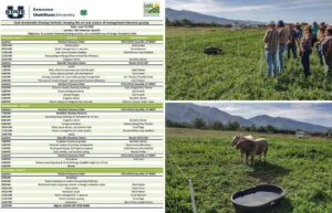 Sustainable grazing Institute 