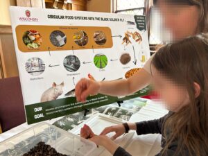 swarm-to-table booth