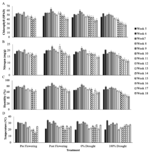 Figure 2. Average leaf chlorophyll (SPAD, A), nitrogen (mg/g, B), humidity (%, C), and temperature (oC) by treatment, for weeks after planting, from week 5 when the pre-flowering treatment was sampled at the start of water exclusion, to week 18 when the post-flowering treatment was sampled at drought. Error bars are the standard deviation of 60 measurements per variable across seed varieties and replicate blocks for each treatment and time point.  