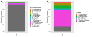 The figure shows two stacked bar charts with rainbow colors noting percent prevalence of Fusarium species identified using the developed database in A and the Cobo-Díaz et al. Database in B. 