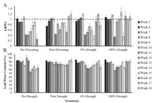 Figure 3. Leaf relative water content (LRWC, A) and leaf water content (LWC, B) from week 5 to week 18. Error bars are the standard deviation of 60-disc samples per measurement across seed varieties and replicate blocks for each treatment and time point. The dashed line indicates 100% LRWC at which it is impossible for leaves to hold more than 100% of their turgid weight.  