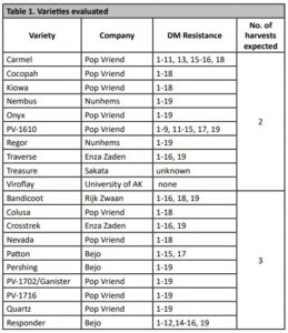 Varieties evaluated for winter 2022-23.