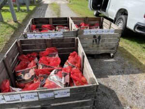 Samples arriving at Lake Ontario Fruit, Inc.