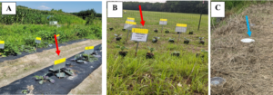 UMES Study, 2021, illustrating the experimental setup.